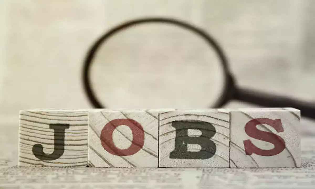 Jobs in High Court