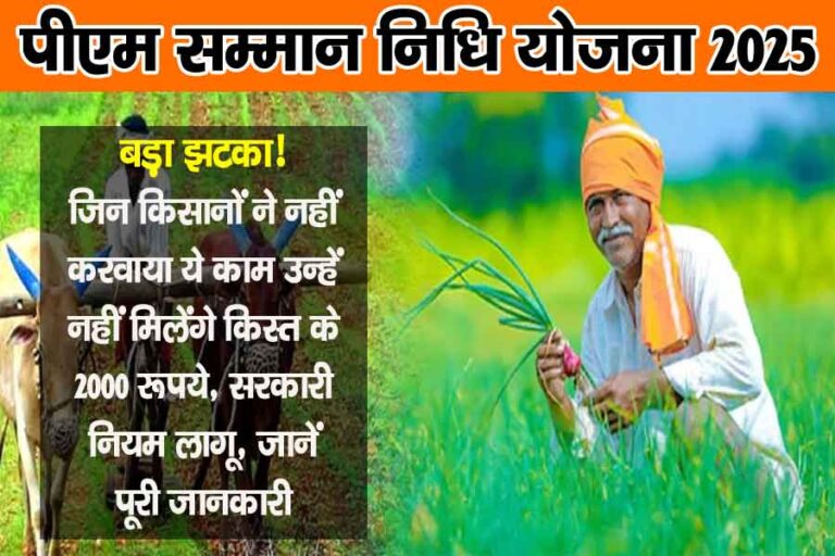 PM Kisan 19th Kist 2025